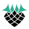 BlackPi