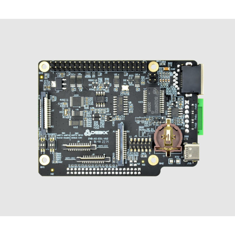 DEBIX Model A I/O Board
