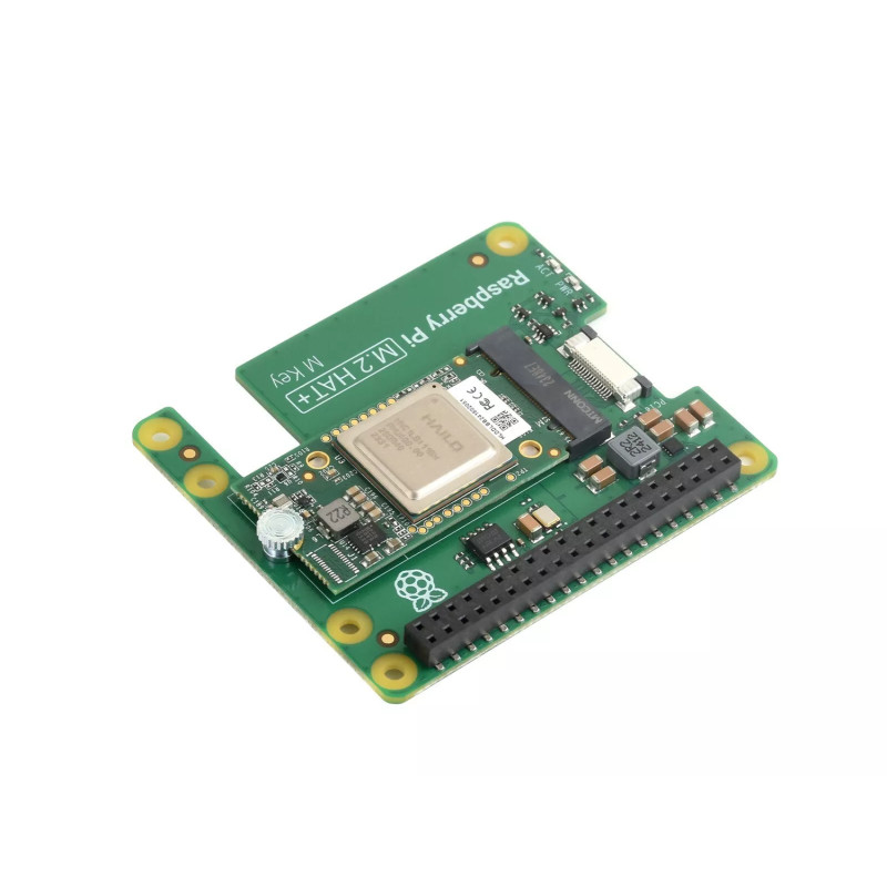 RPI 5 M.2 HAT+ HAILO AI KIT expansion card