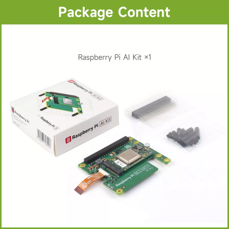 RPI 5 M.2 HAT+ HAILO AI KIT expansion card