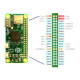 Raspberry Pi Zero W
