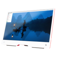 Raspberry Pi Monitor